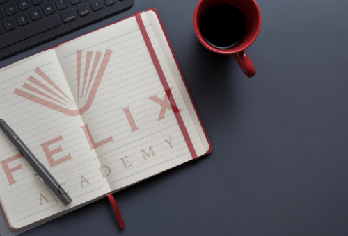 Mezun öğrenciler için Seçenekler